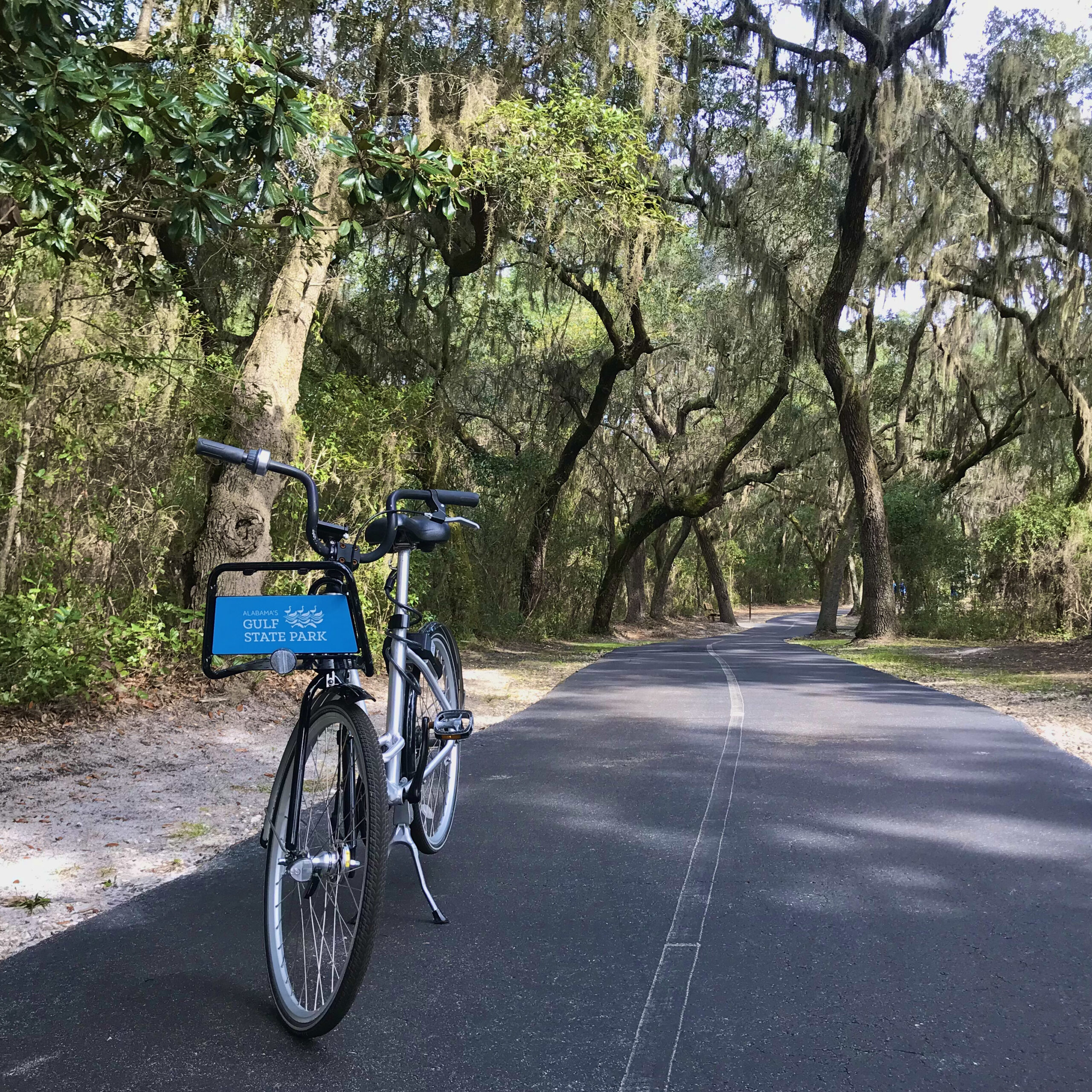Bike on trail